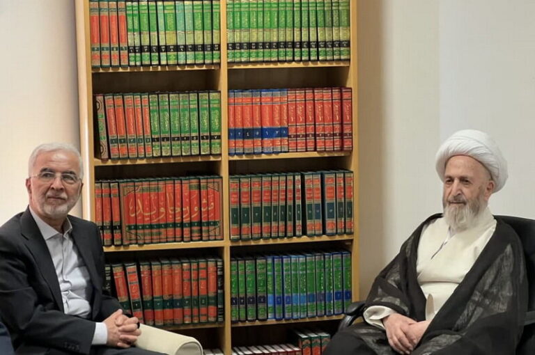 دیدار وزیر کشور با آیت الله العظمی سبحانی