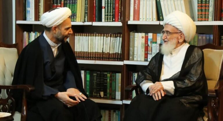 دیدار آیت الله العظمی نوری همدانی با حجت‌الاسلام و المسلمین خلیلی