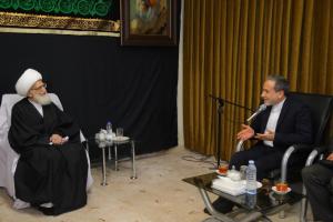 دکتر عراقچی - مراجع تقلید