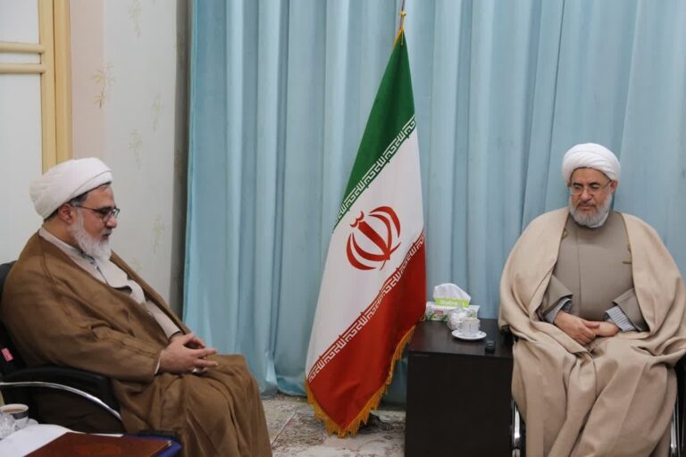 دیدار رئیس مرکز تحقیقات اسلامی مجلس با آیت الله اراکی