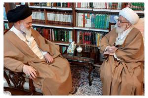 دیدار آیت الله حسینی بوشهری با آیت الله نوری همدانی