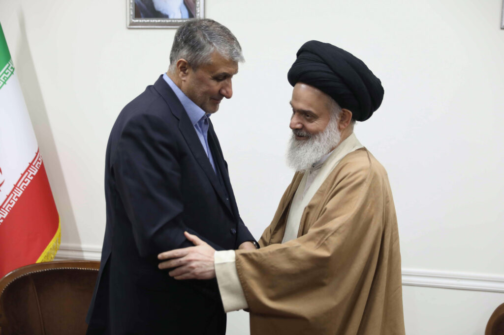 دیدار رئیس سازمان انرژی اتمی با آیت الله حسینی بوشهری
