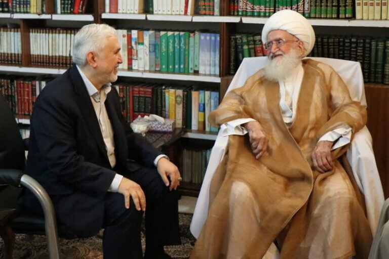 آیت الله العظمی نوری همدانی در دیدار با قائم مقام وزیر میراث فرهنگی
