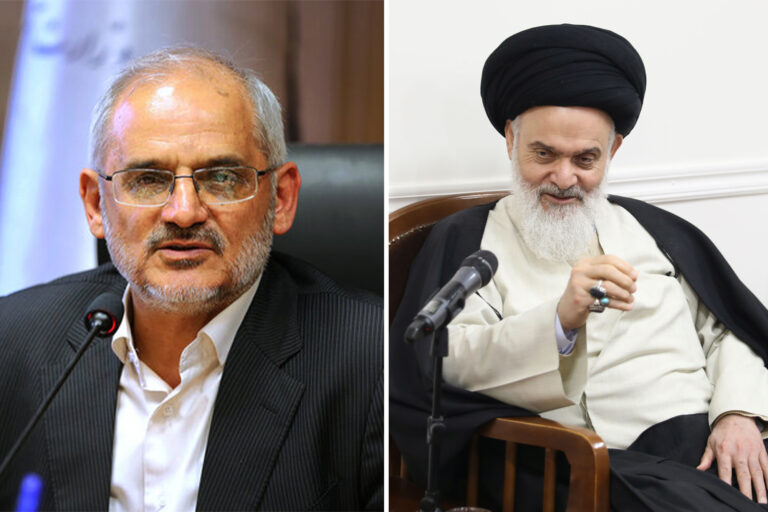 محسن حاجی میرزایی رئیس دفتر رئیس جمهور با آیت الله سیدهاشم حسینی بوشهری دیدار کرد